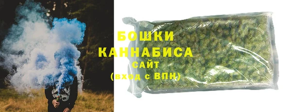 МДПВ Лиски