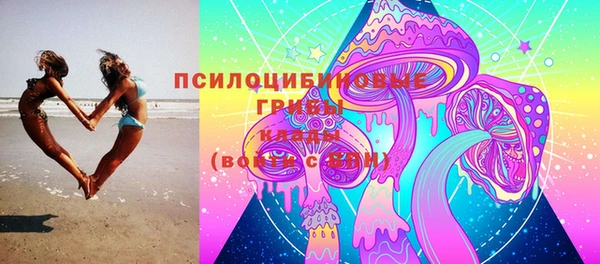 2c-b Липки