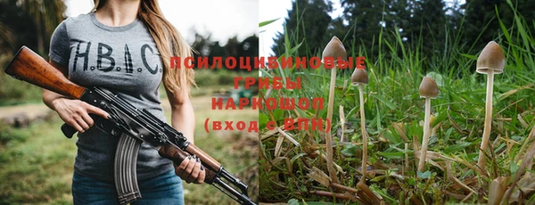 2c-b Липки