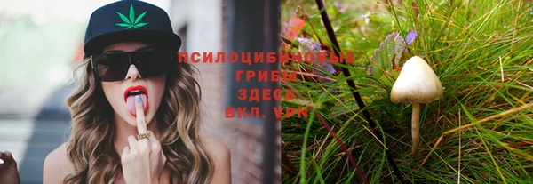 бутират Лихославль